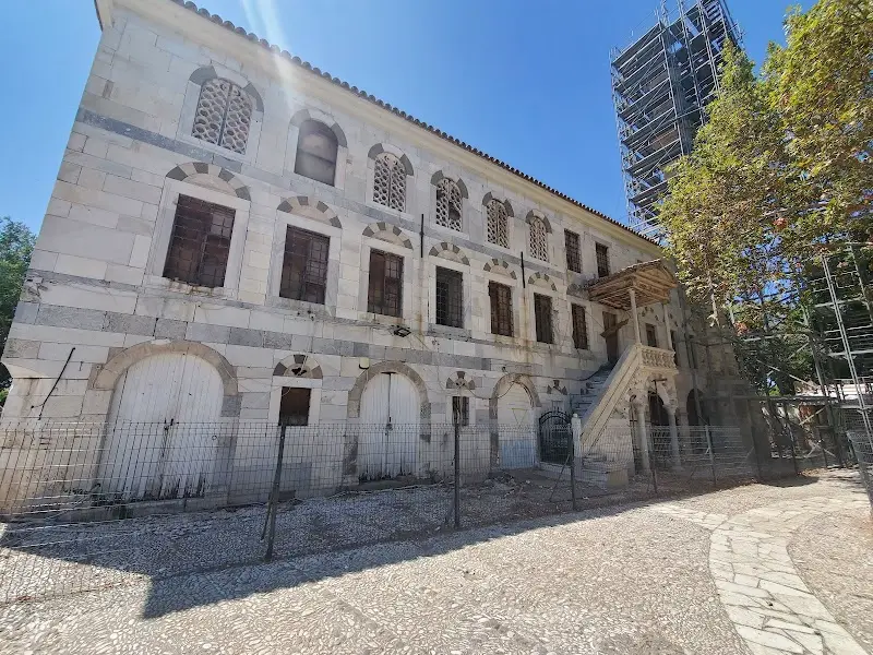 Hippocrates Plane Tree